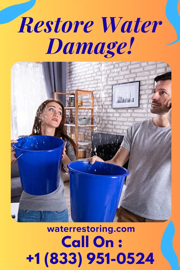 water restoration Vigilant Property Restoration Masters La Joya